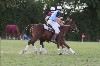 UKPA  NC Sat_1548